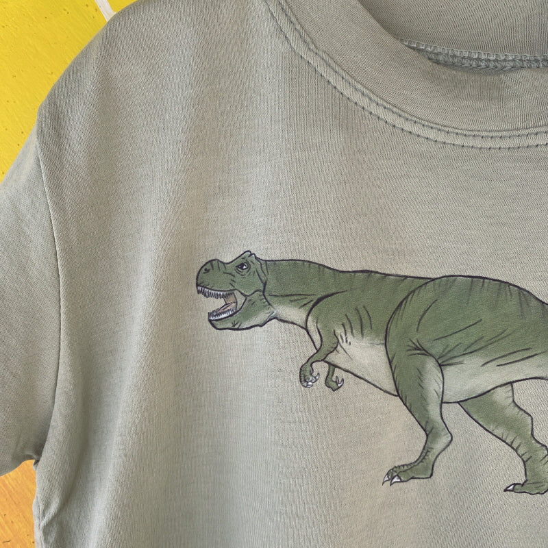 BT051 DINOSAUR TEE