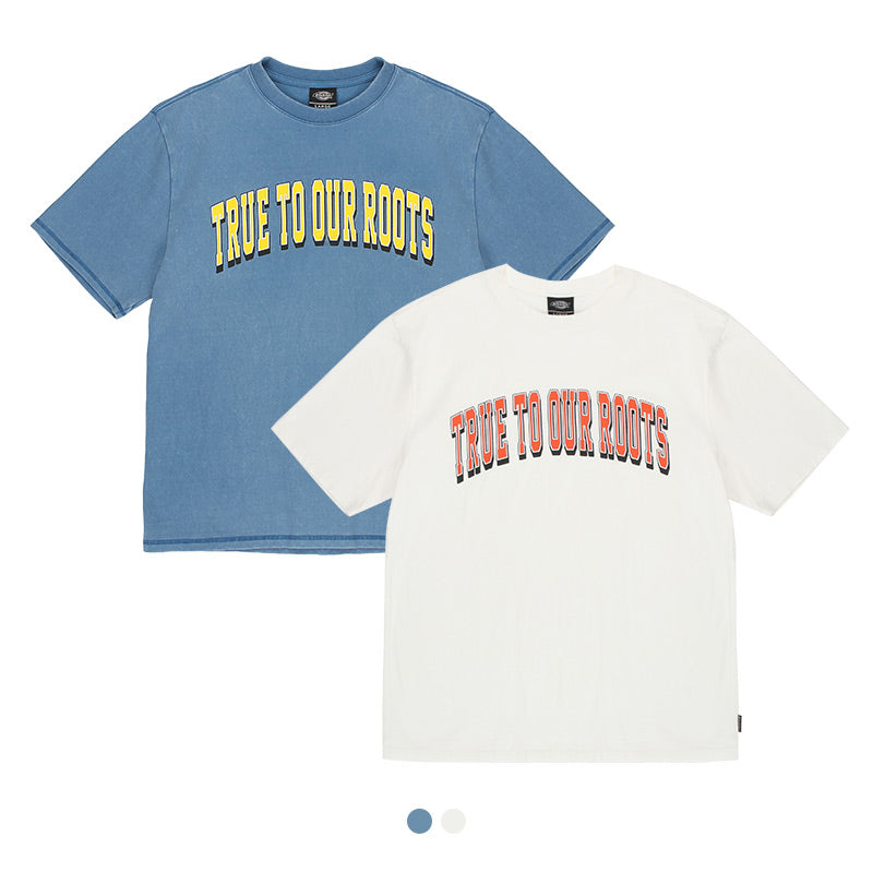 BD001 Dickies OLD COLLEGE