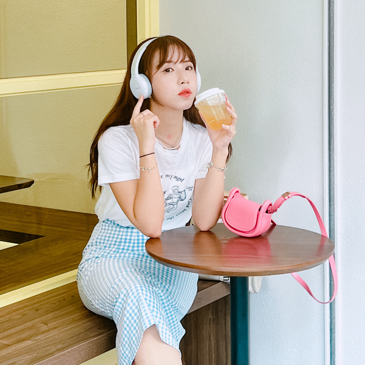 B250 FANCE SKIRT