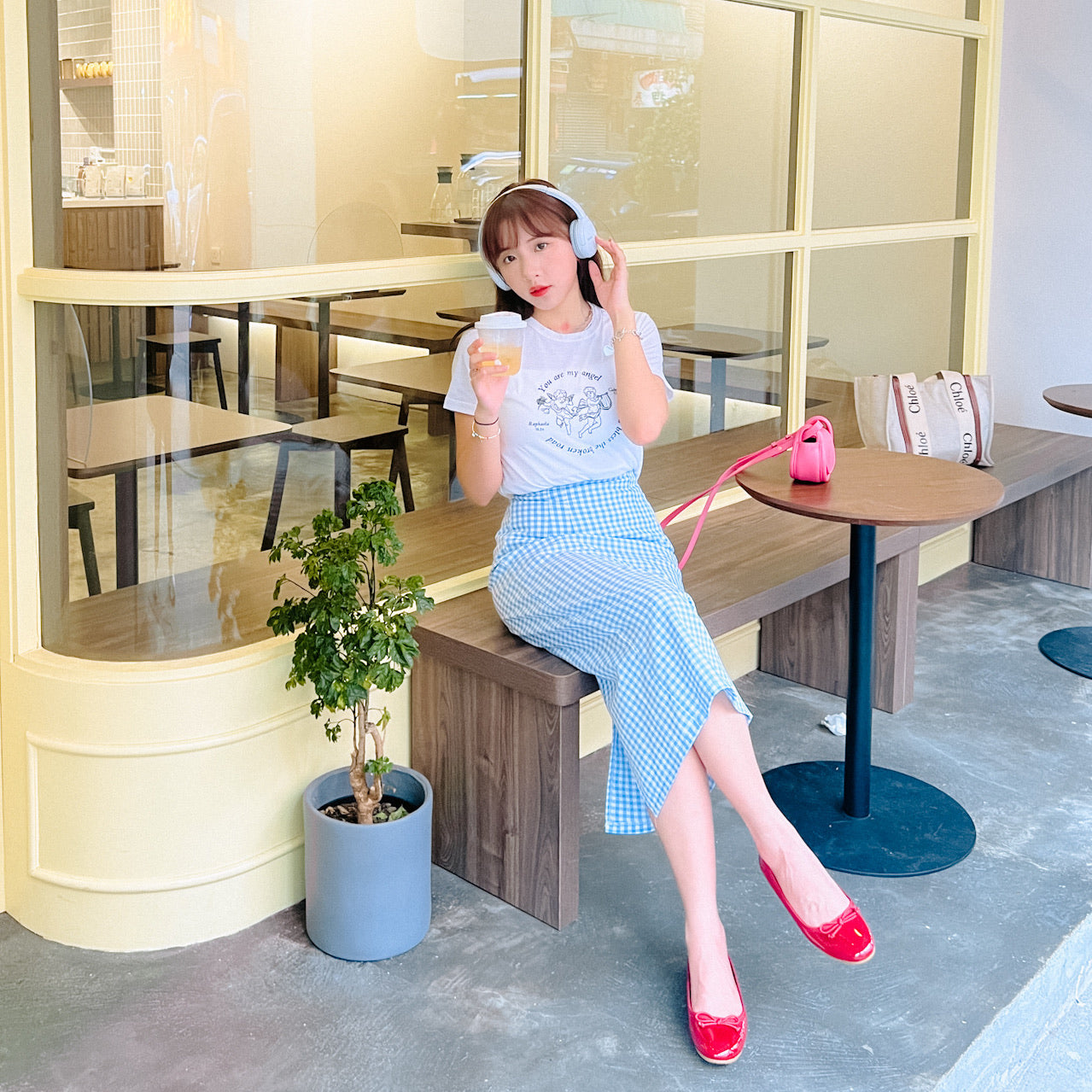 B250 FANCE SKIRT