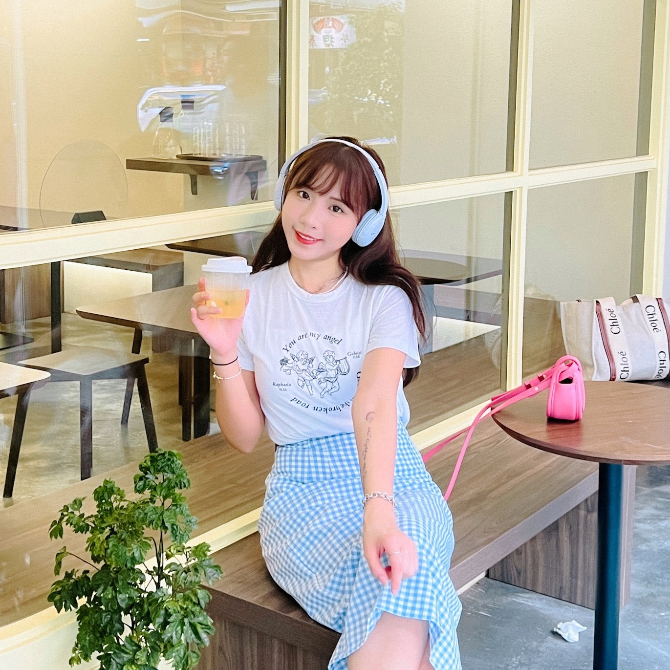 B250 FANCE SKIRT