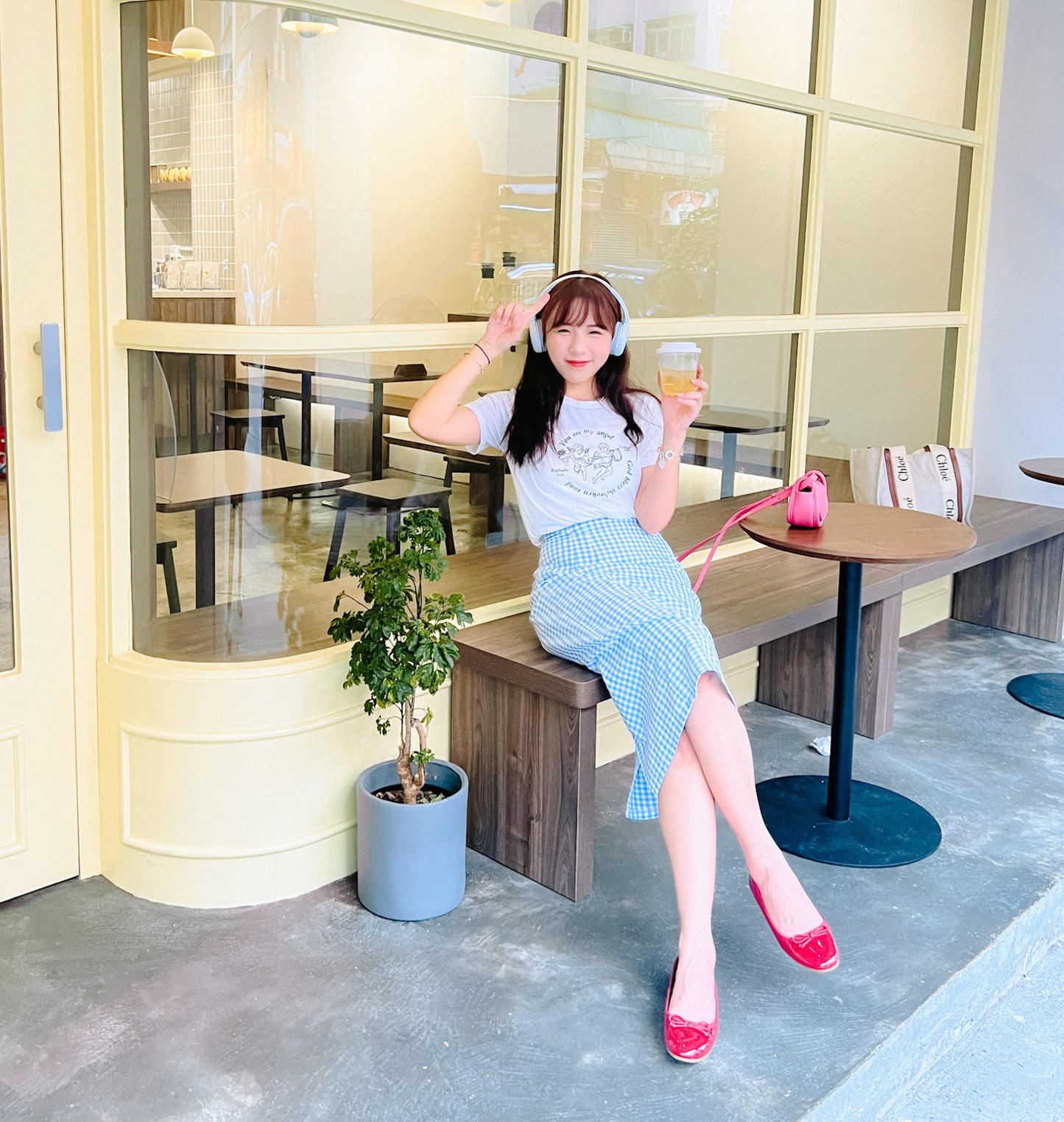 B250 FANCE SKIRT