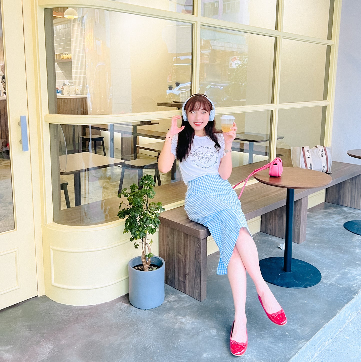 B250 FANCE SKIRT