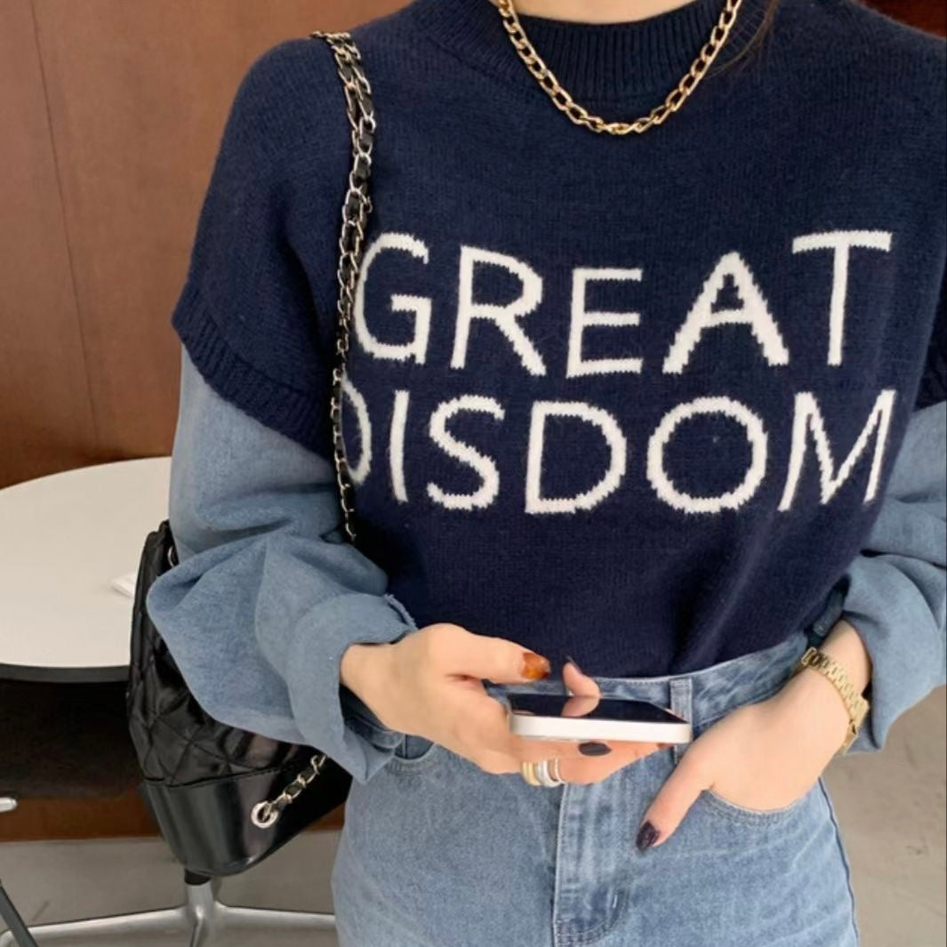 T669 GREAT BLUE SWEATER