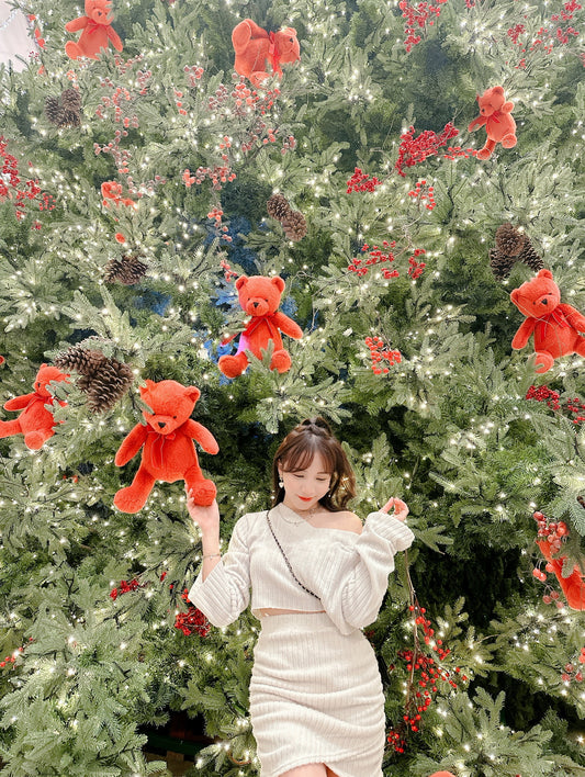 T893 DECEMBER LOVE SET